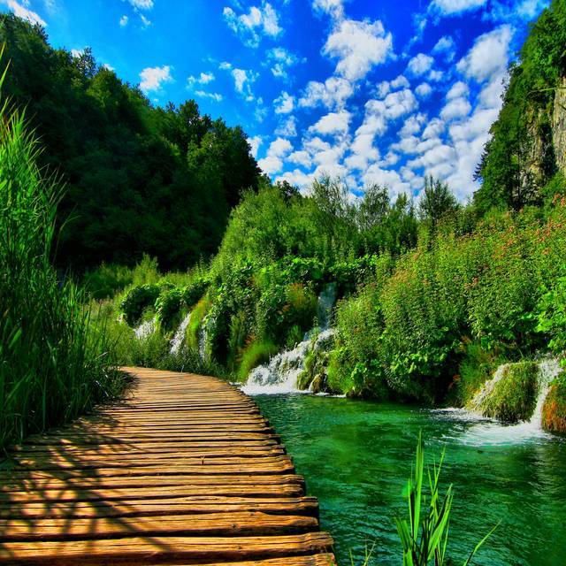 Nature